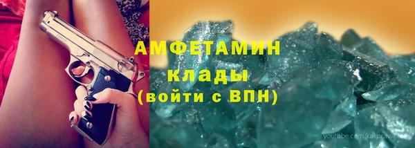индика Арсеньев