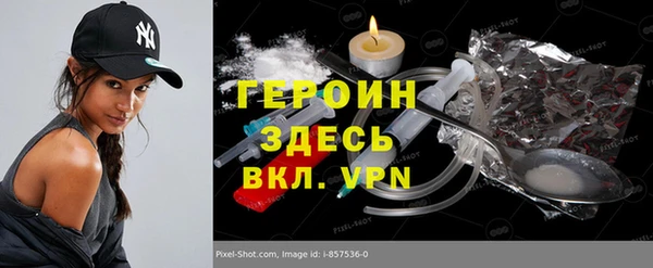 индика Арсеньев