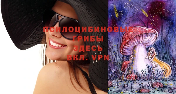 MDMA Premium VHQ Аркадак