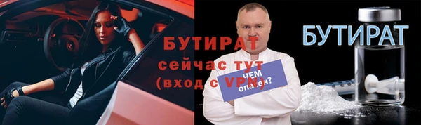 индика Арсеньев