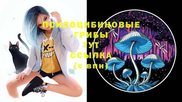 мяу мяу кристалл Армянск