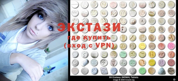 индика Арсеньев