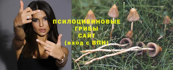 мяу мяу кристалл Армянск