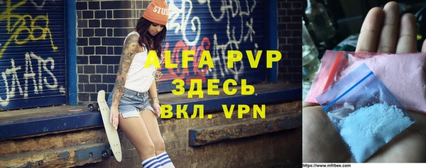 индика Арсеньев
