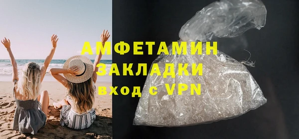 индика Арсеньев