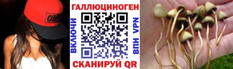 Галлюциногенные грибы Psilocybe  Безенчук 